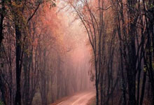 PG电子：英联杯-贝里瓦尔制胜 热刺1-0利物浦占先机.