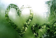 巴西vs哥伦比亚：维尼修斯、拉菲尼亚首发，J罗、迪亚斯出战.