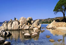 PG电子：普及残障体育从小做起 新基金助残障活动社群扩大规模.